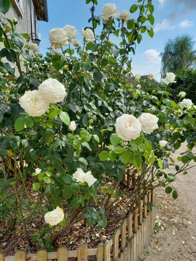 Le Domaine Du Chaffard Bed & Breakfast Les Avenieres Bagian luar foto