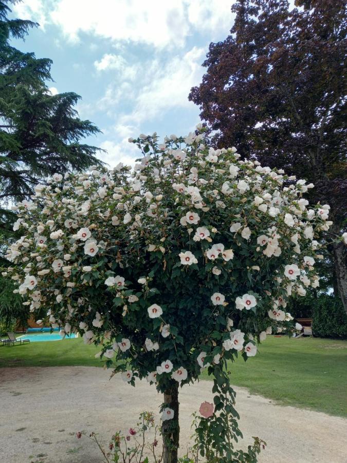 Le Domaine Du Chaffard Bed & Breakfast Les Avenieres Bagian luar foto